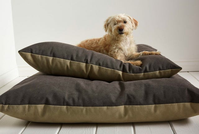 Parachute-Dog-Bed-gear-patrol-full-lead