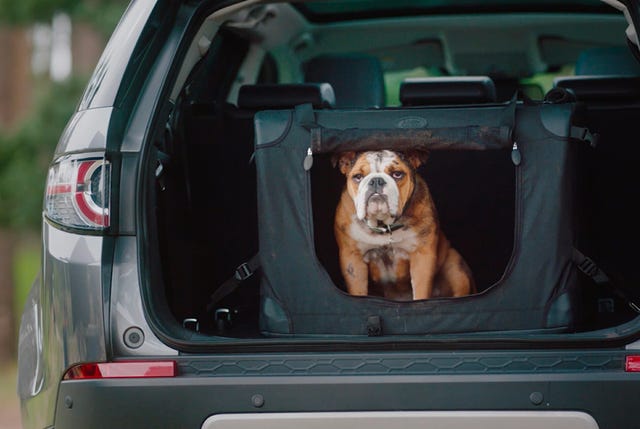 Land-Rover-Dog-Acc-gear-patrol-full-lead