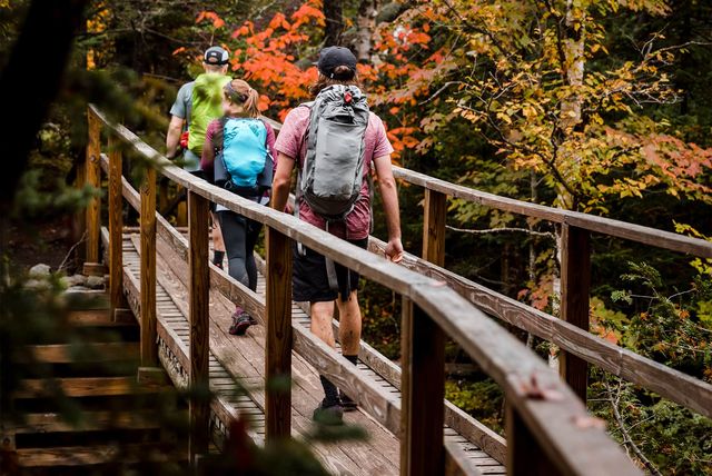 a group of hikers walking across a bridge in fall