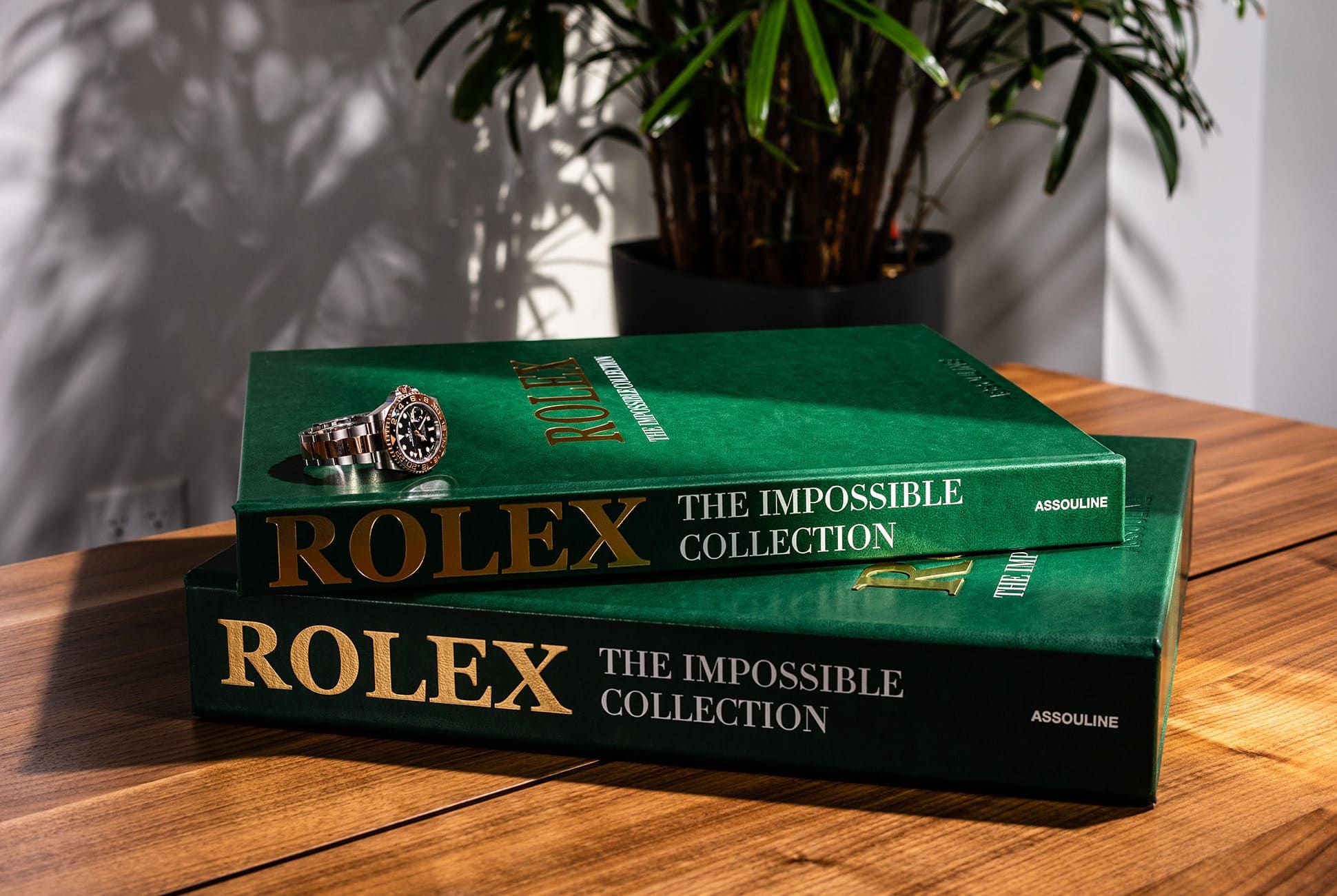 rolex the watch book