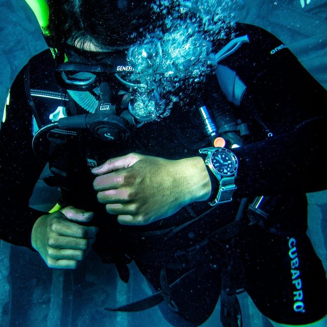 Økologi At redigere Mentalt Scuba Diving in Bermuda with the Seiko SKX007