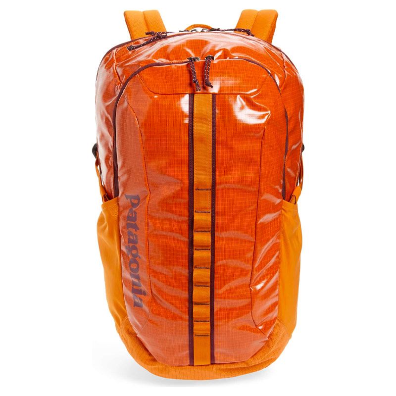 nordstrom patagonia backpack