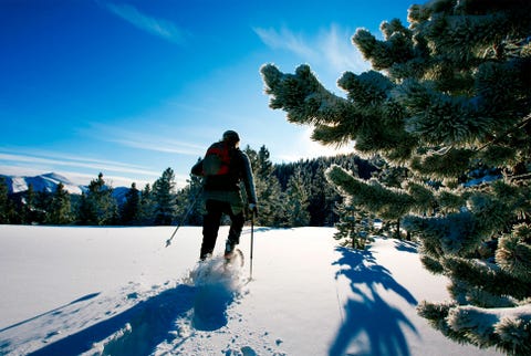 The Best Pants For Winter Hiking