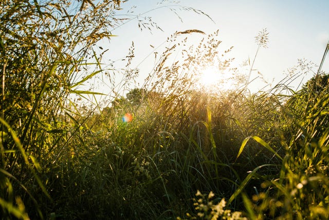 Everything-You-Need-to-Avoid-Ticks-This-Summer-gear-patrol-lead-full