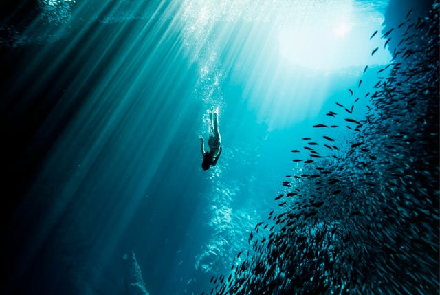 Everything-You-Need-to-Start-Free-Diving-Gear-Patrol-lead-full