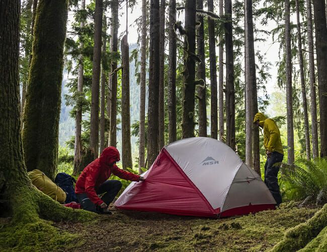 zegevierend Downtown Opnemen The 6 Best Backpacking Tents of 2019