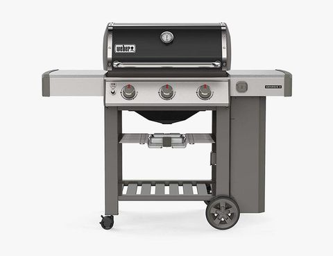 diefstal lip het is nutteloos The Complete Buying Guide to Weber Grills: Every Model Explained