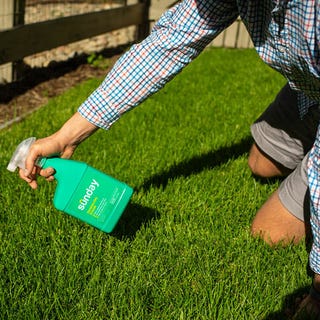 sunday-weed-control-feature sunday-weed-control-feature