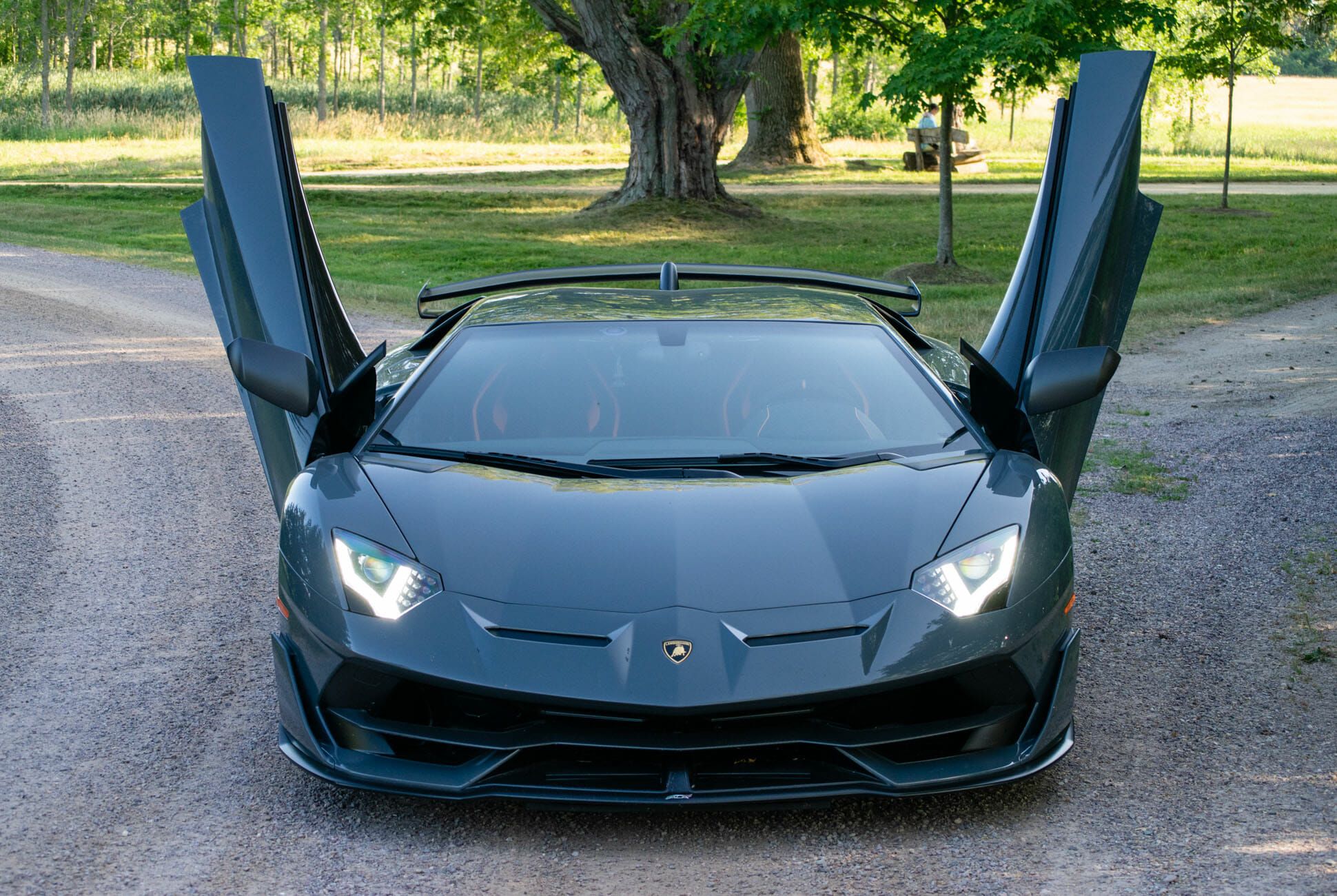 blue lambo aventador doors up