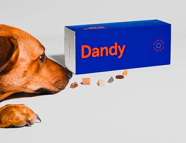 dandy dog treats gear patrol feature