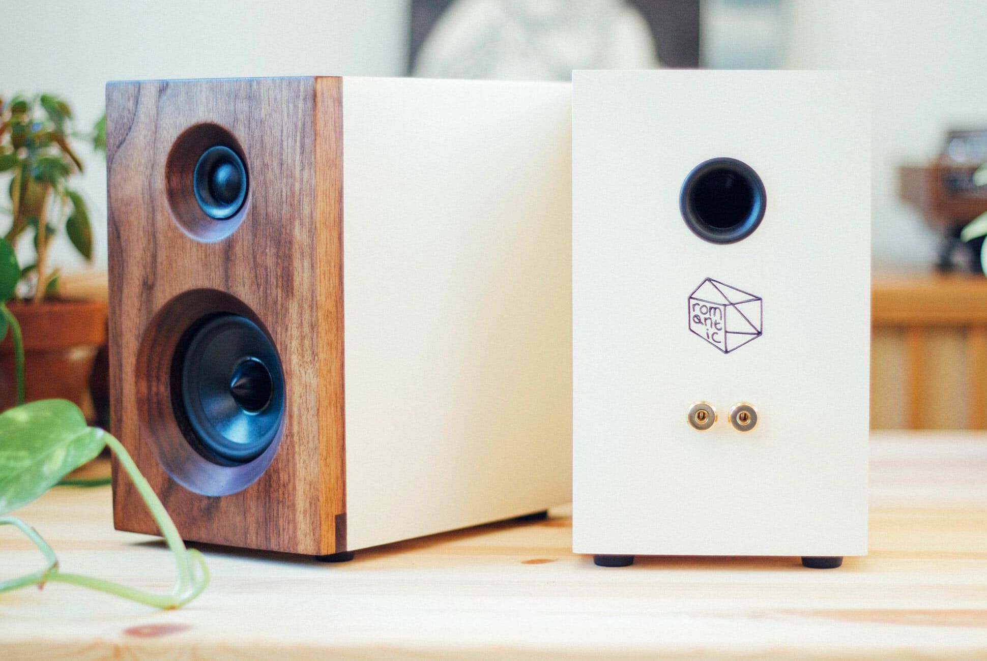 You Can Build Your Own Speakers And It