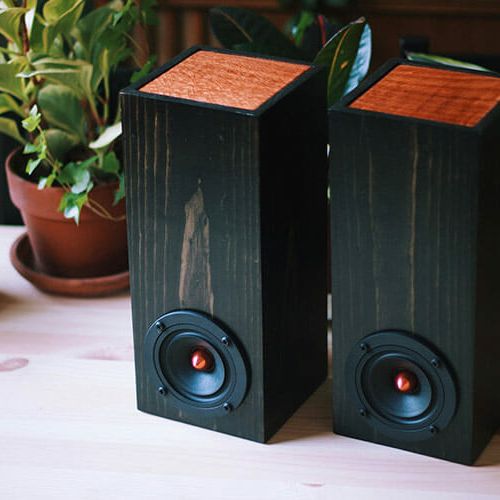 You Can Build Your Own Speakers, and It's Simpler Than You Think