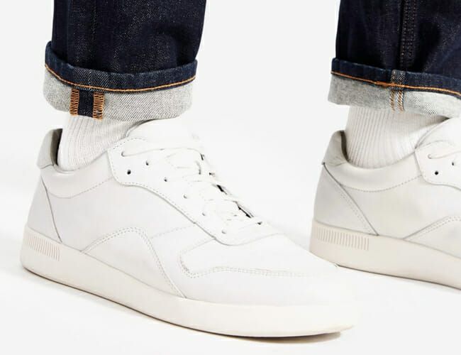 everlane court sneaker