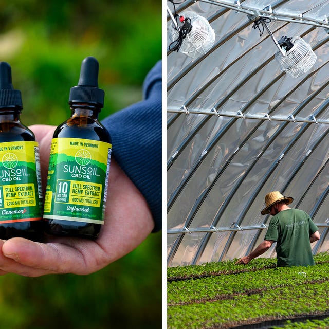Sponsored-Product-Note-Sunsoil-CBD-gear-patrol-lead-full Sponsored-Product-Note-Sunsoil-CBD-gear-patrol-lead-full