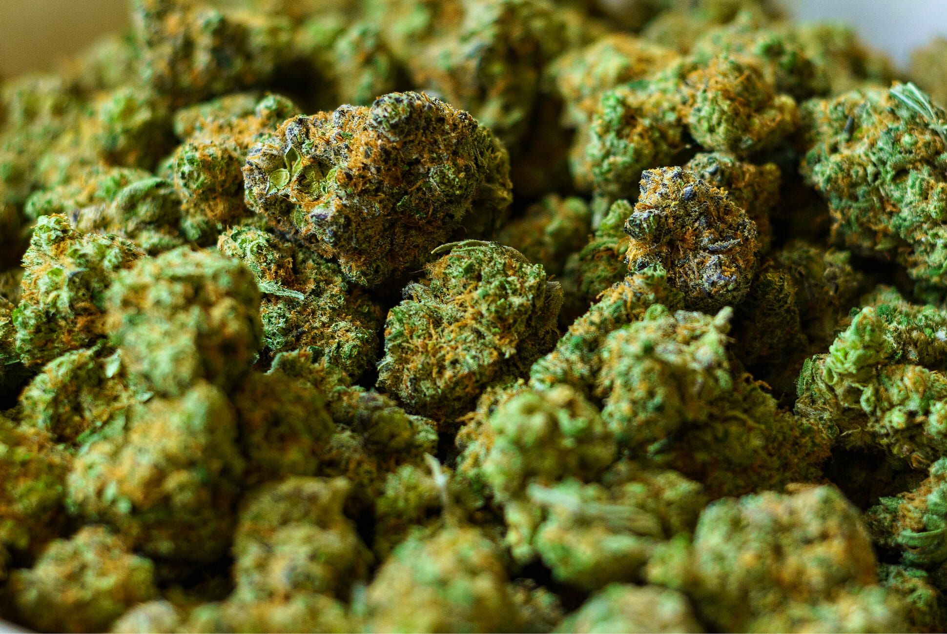 What You Need to Know Before Stocking Up on Weed, According to an Expert