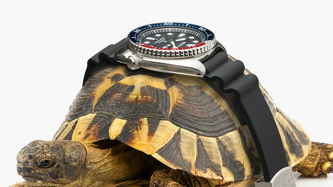 Why Do So Many Seiko Watches Have Crazy Nicknames?
