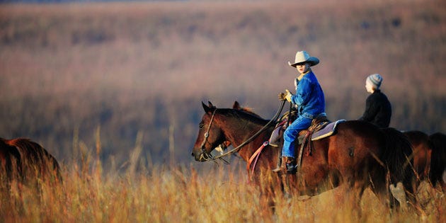Cowboy Sunday Cowboy Sunday