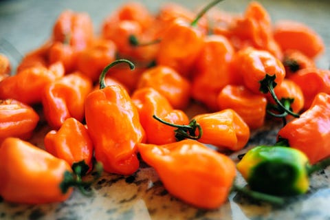 Habaneros