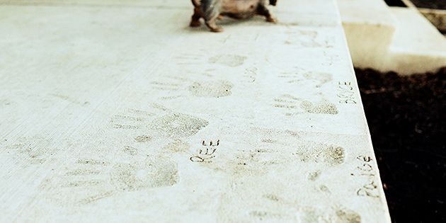 Handprints in the Concrete