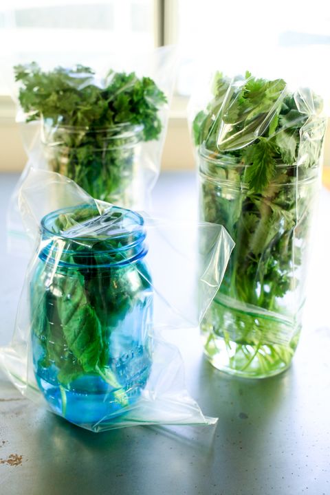 how to store fresh herbs 02