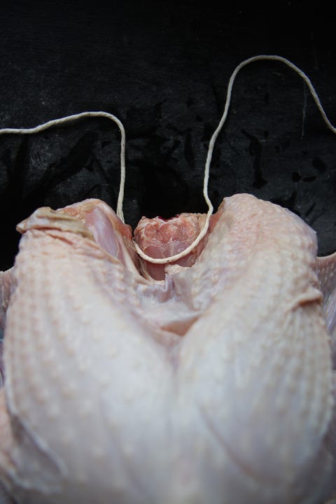 How to Truss and Roast a Turkey How to Truss and Roast a Turkey
