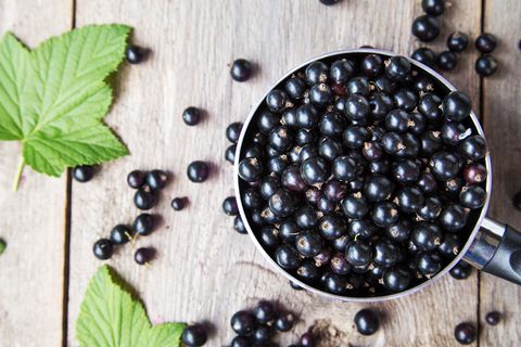 Food, Berry, Elderberry, Zante currant, Fruit, Superfood, Plant, Currant, Chokeberry, Bilberry, 