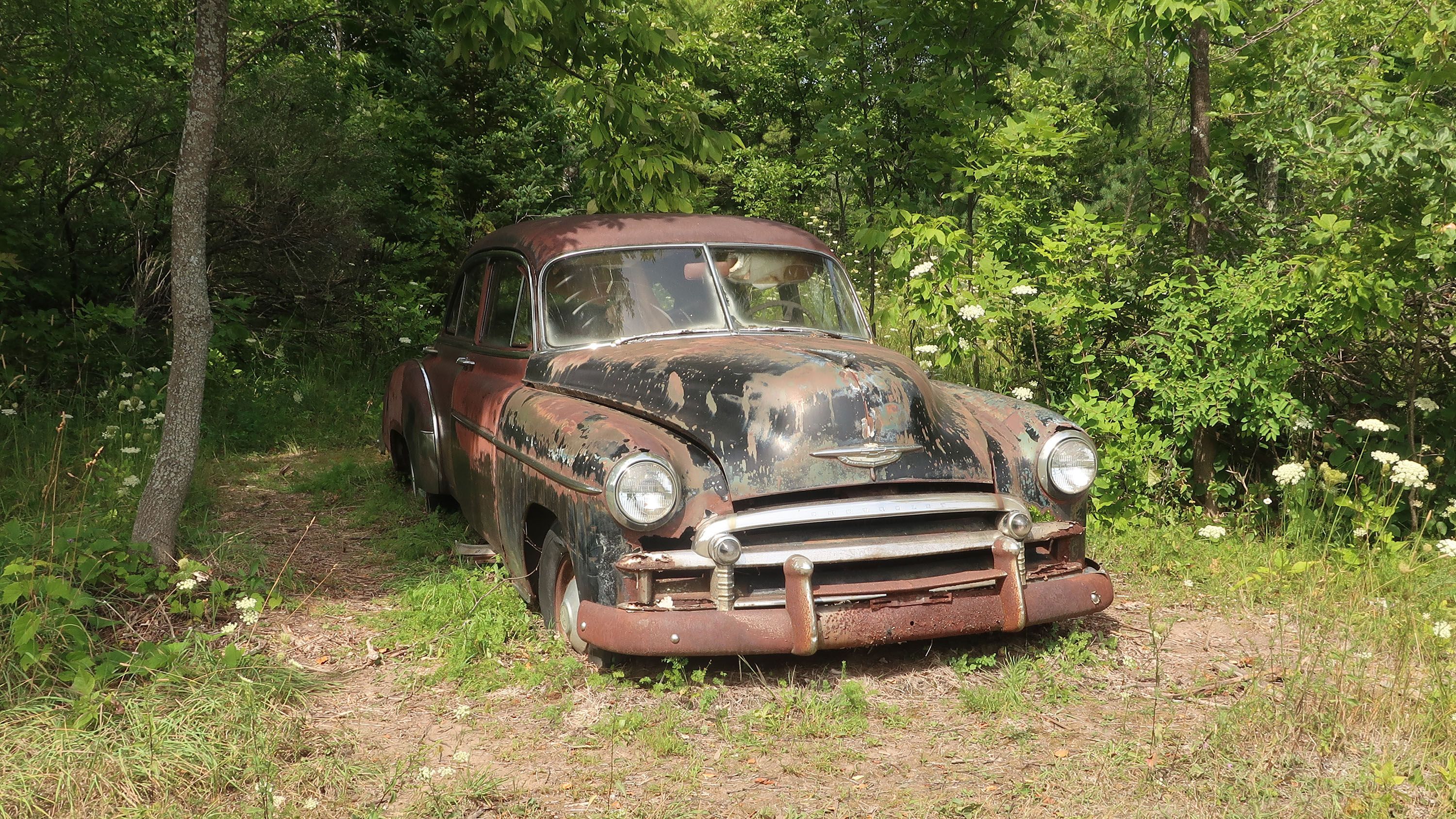 1951 Chevrolet rusts in Wisconsin woods, photographed with 1919