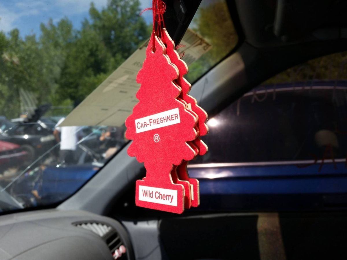 Wild Cherry Little Tree air fresheners failed to save these cars from the  crusher