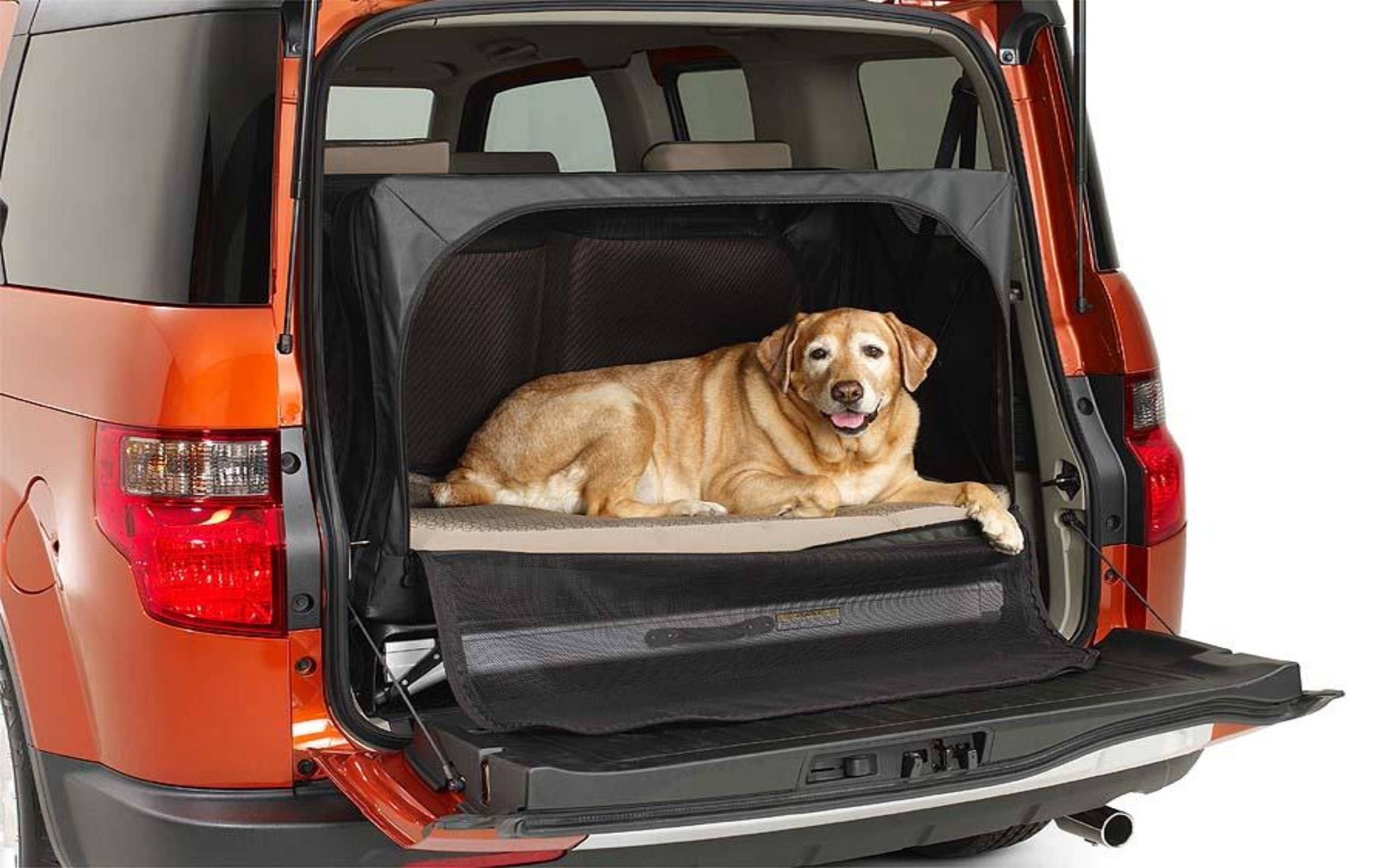 Honda element best sale dog ramp