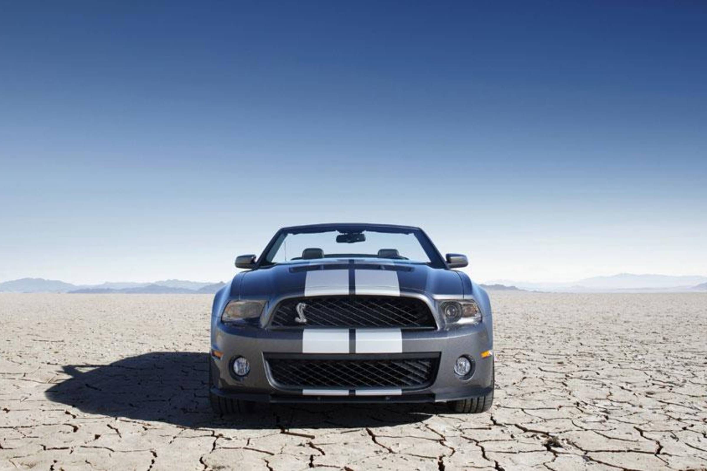 2010 ford mustang shelby wallpaper