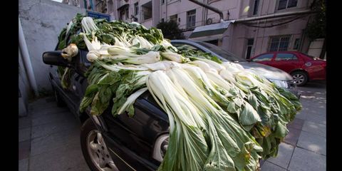 CABBAGE PATCH CAR // Sometimes your car is used to travel from place to place, and other times it&#8217;s used to dry your cabbage. At least that&#8217;s the case in Hangzhour, Zhejiant Province of China.