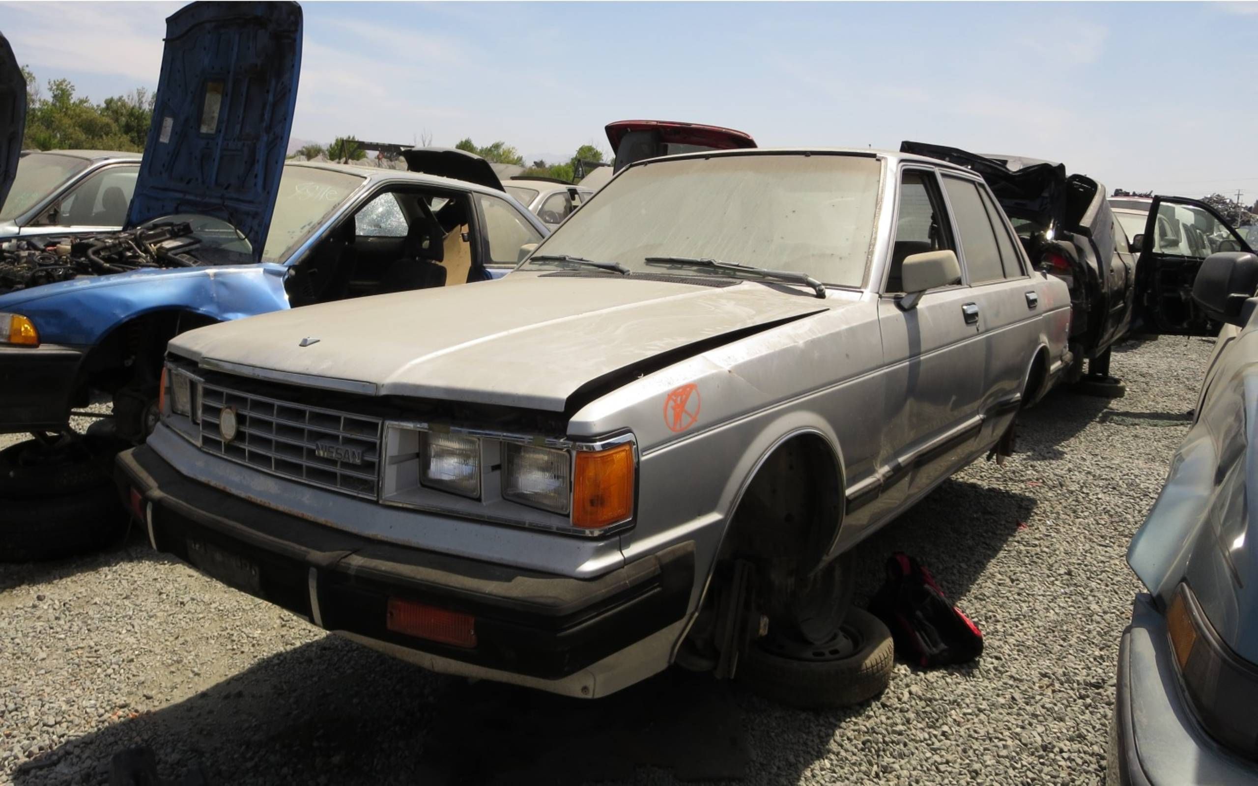 datsun maxima 1984