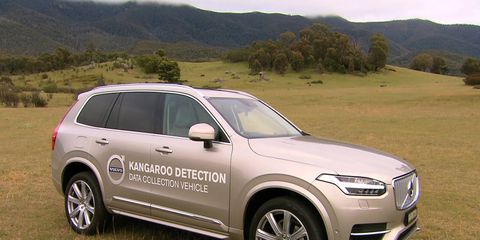 The new Volvo XC90 is being used as a prototype to test kangaroo detection and avoidance technology...more of an issue in Australia than elsewhere.
