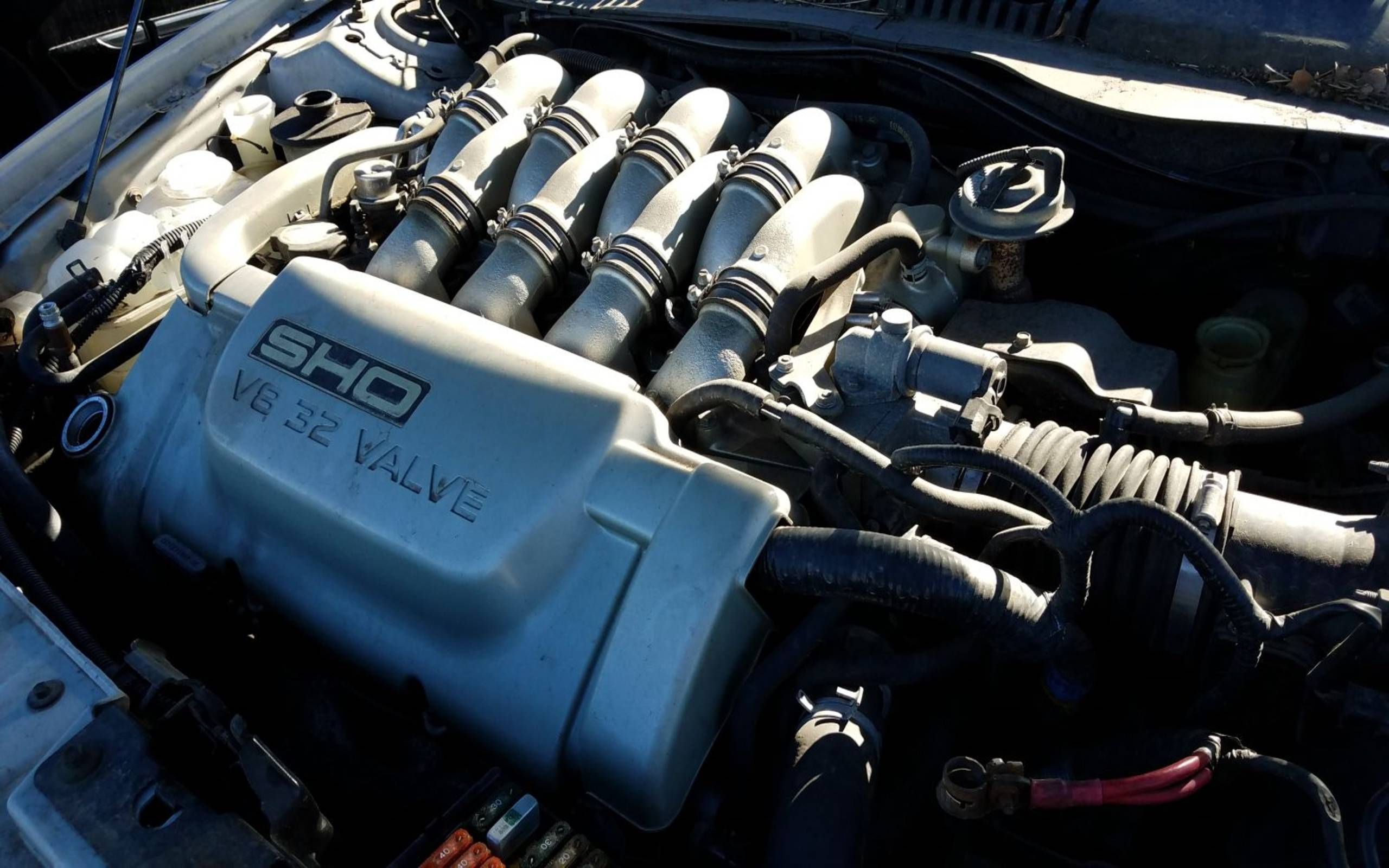 Junkyard Treasure 1998 Ford Taurus Sho