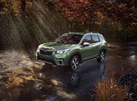 subaru forester front 3 4 in forest