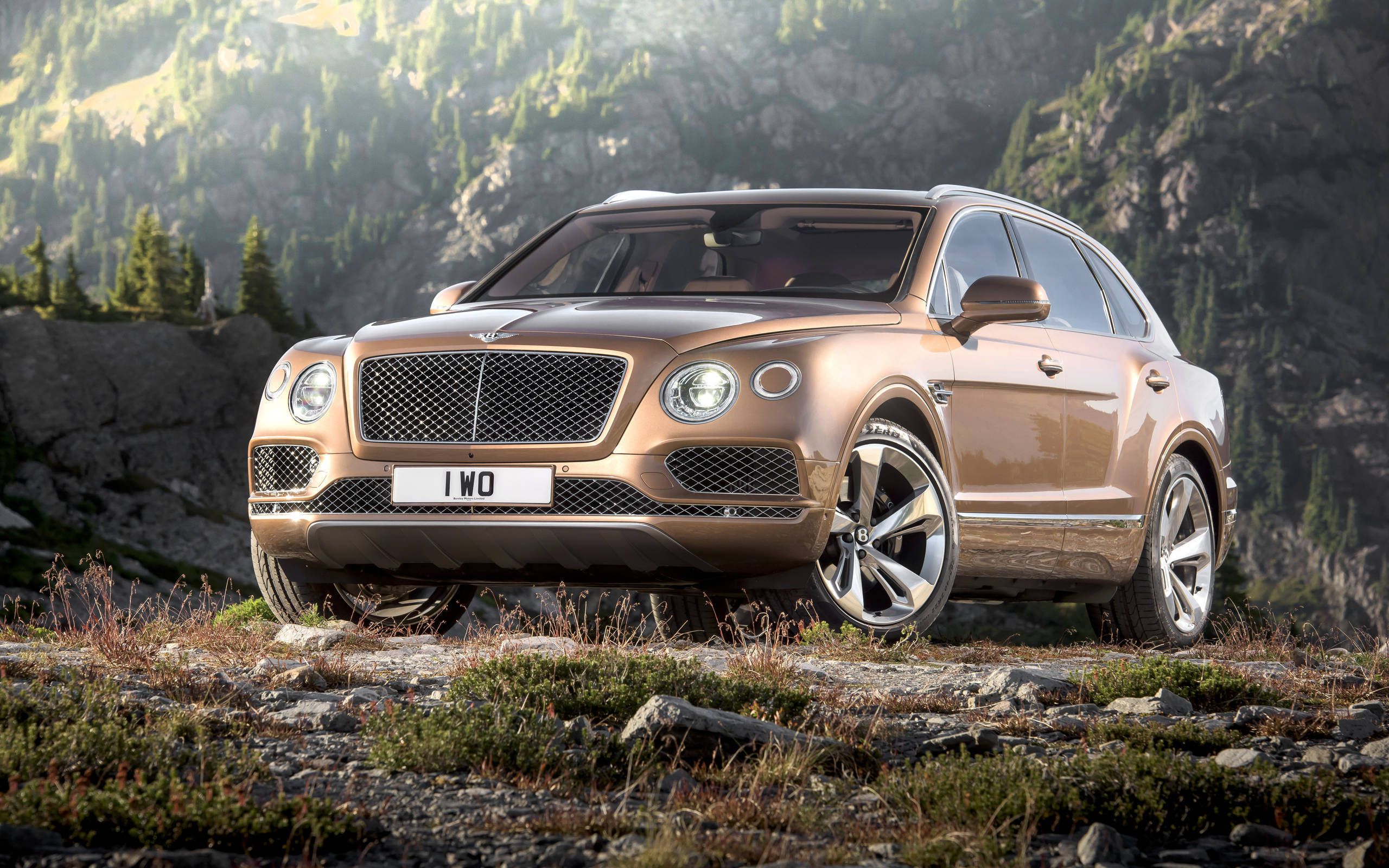 Bentley Bentayga Images | Bentayga Exterior, Road Test and Interior Photo  Gallery