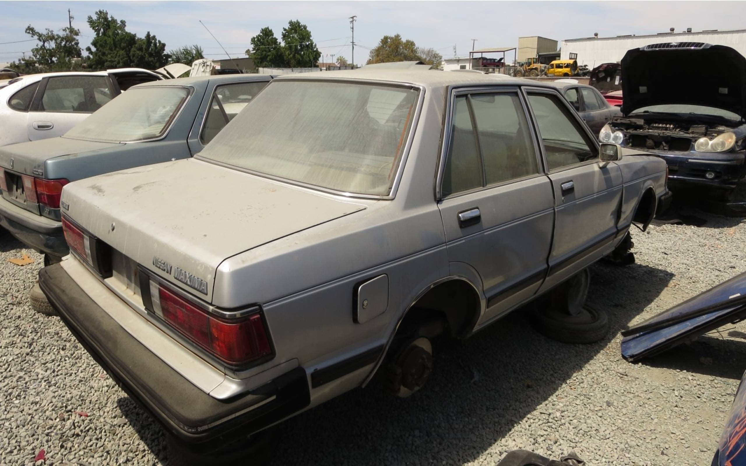 datsun nissan maxima 1984