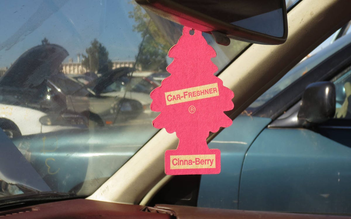 Cinna-berry Little Trees In Junked Cars, 2007-2015