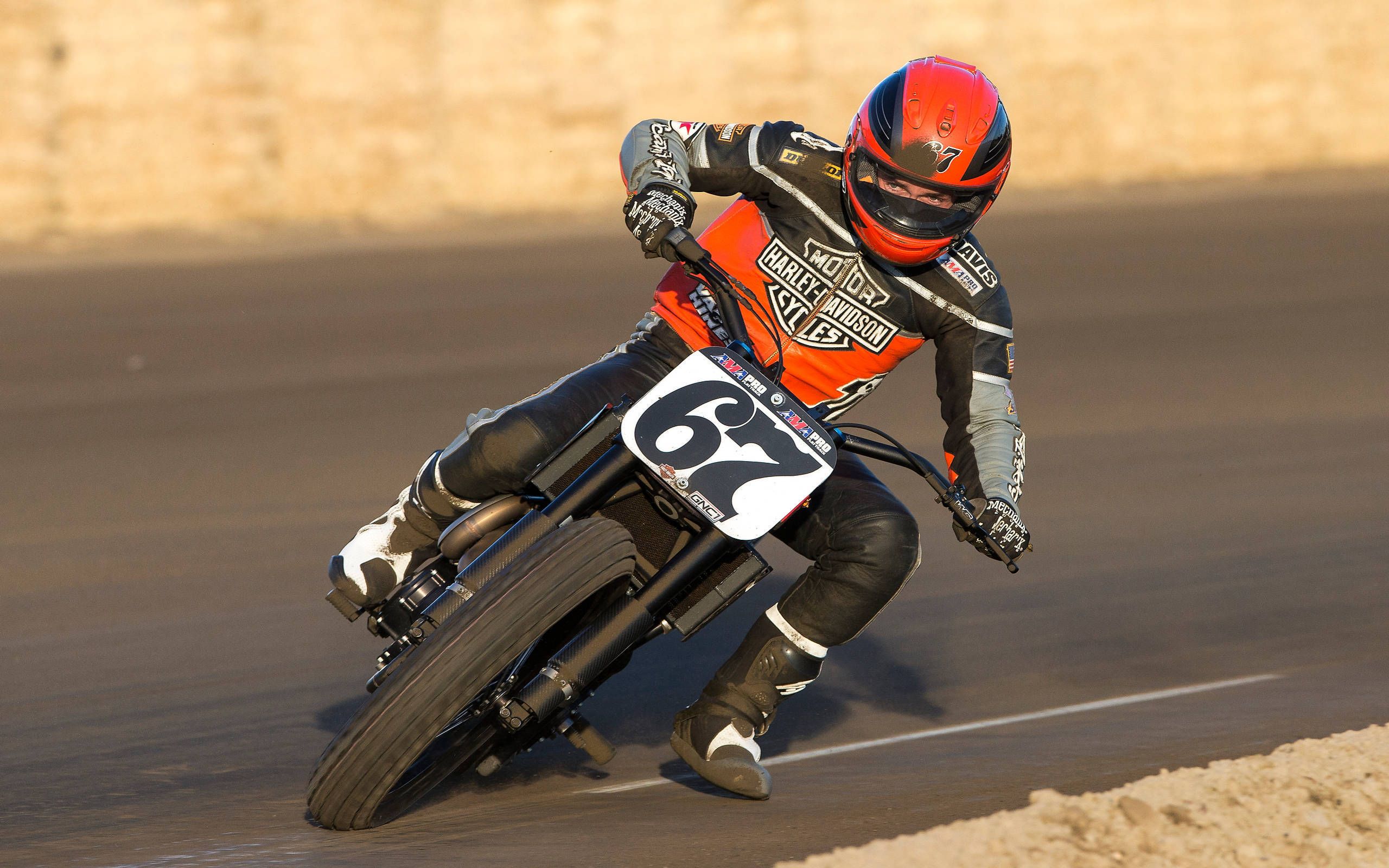 #3 HARLEY DAVIDSON XR-750 8x10 PHOTO AFT MOTORCYCLE FLAT TRACK RACING 