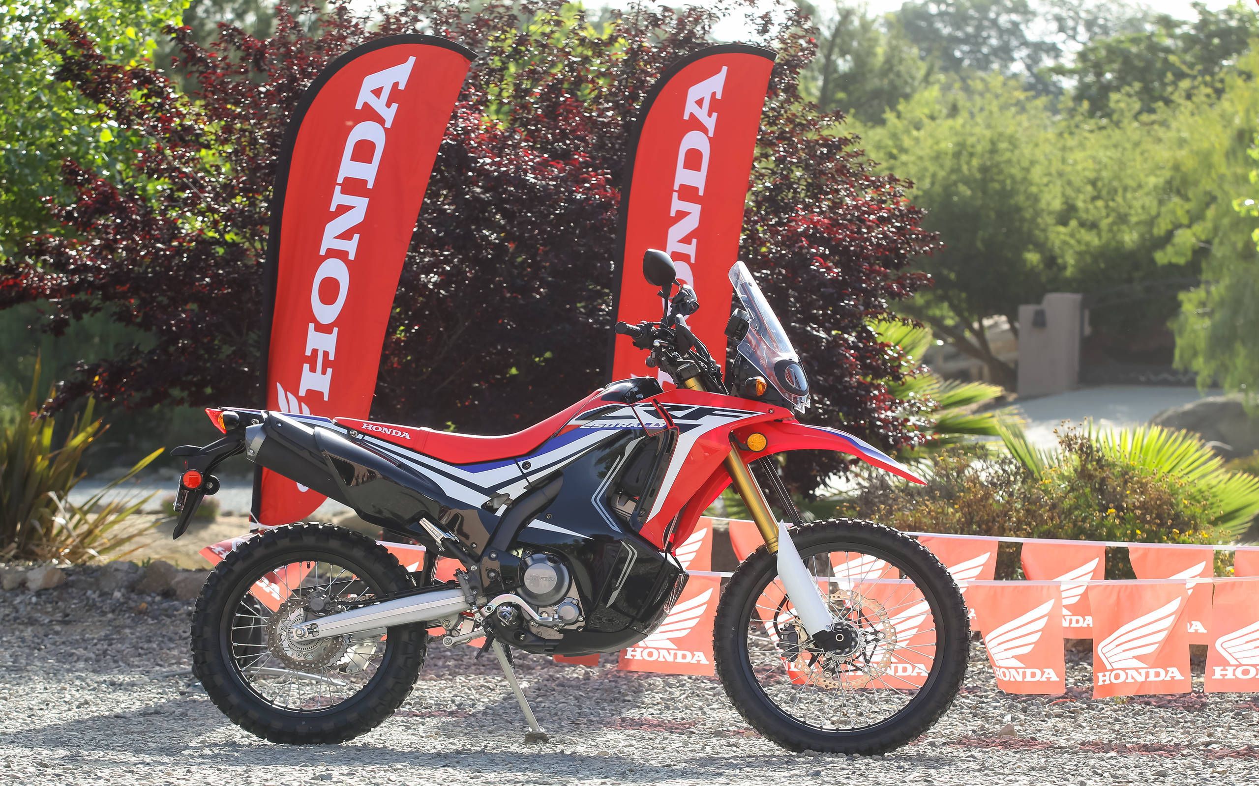 Honda deals crf250l power