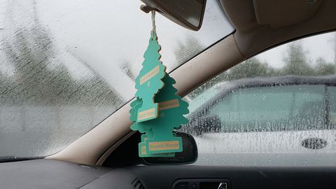 Which isn't to say that some junkyard-bound Charlotte cars don't have a stack of air fresheners with identical scents.
