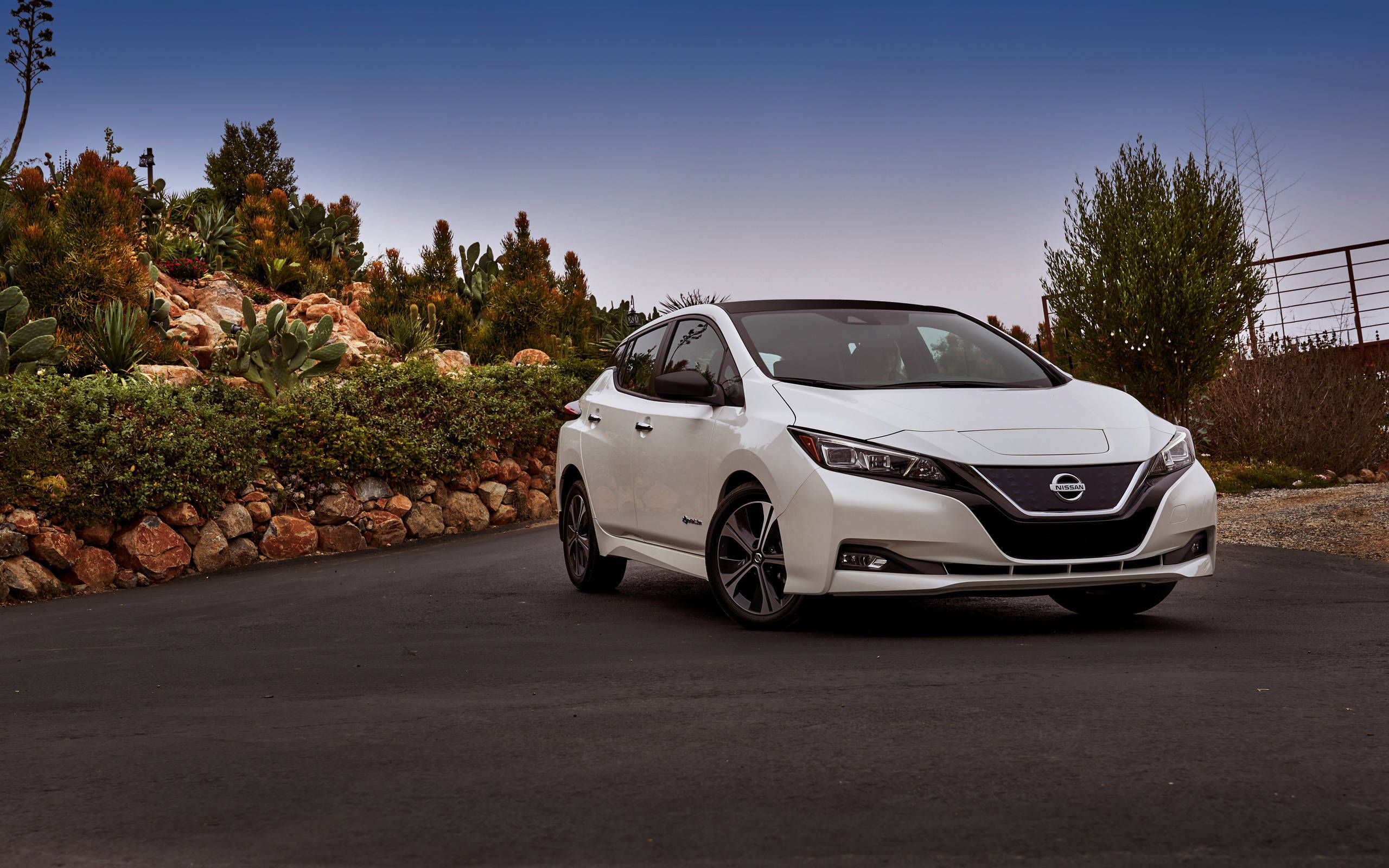 nissan leaf bike rack