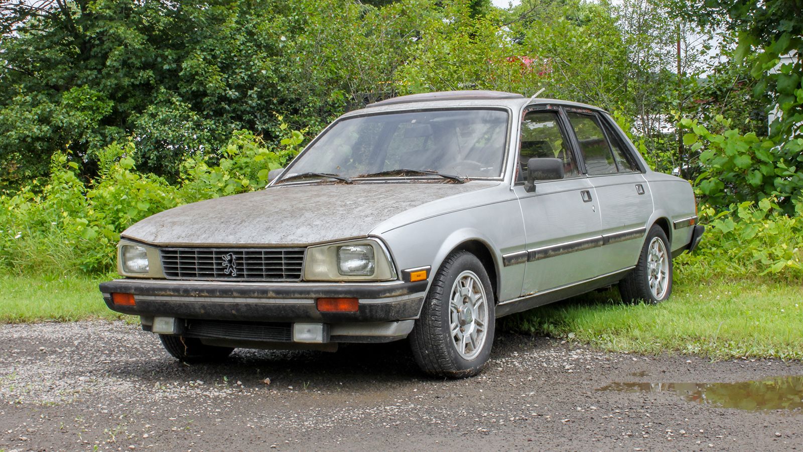 Classic Peugeot 505 Turbo Diesel spotted on the street: photos and
