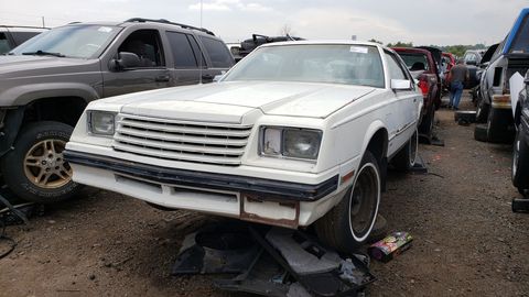A 1983 Dodge Mirada in a Colorado self-service wrecking yard.
