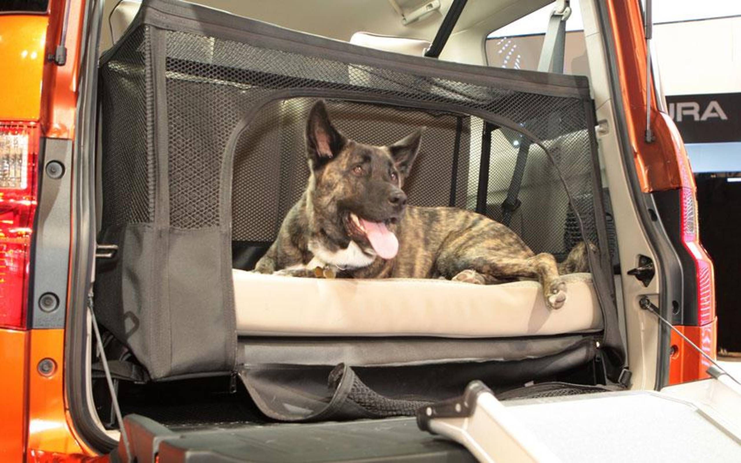 Honda element 2024 dog ramp