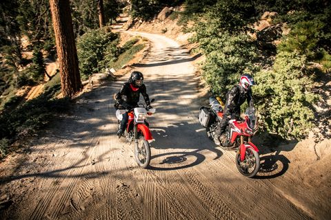 Vehicle, Cycling, Bicycle, Downhill mountain biking, Cycle sport, Mountain bike, Mountain biking, Outdoor recreation, Recreation, Trail, 