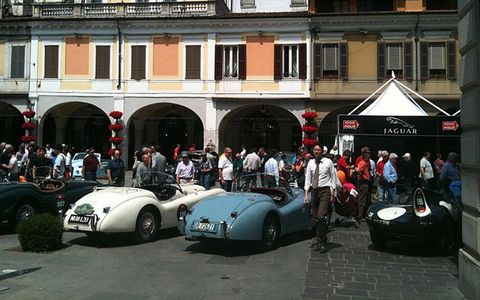 A pride of Jaguars at the Mille Miglia.