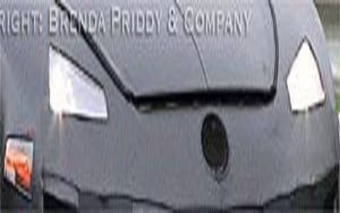 White, Automotive exterior, Black, Grey, Snapshot, Bumper, Automotive window part, Hood, 