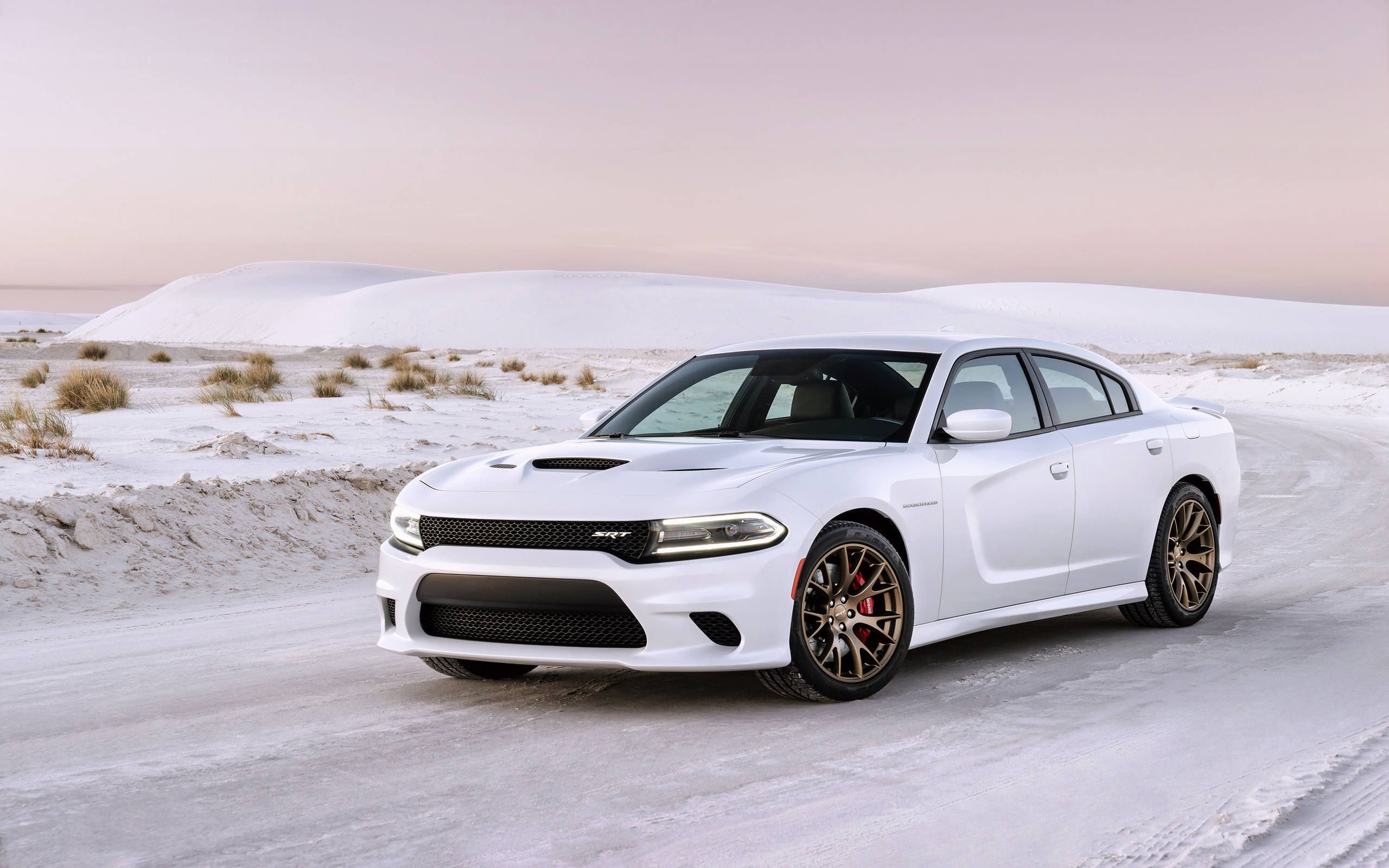 Dodge charger 707 deals hp