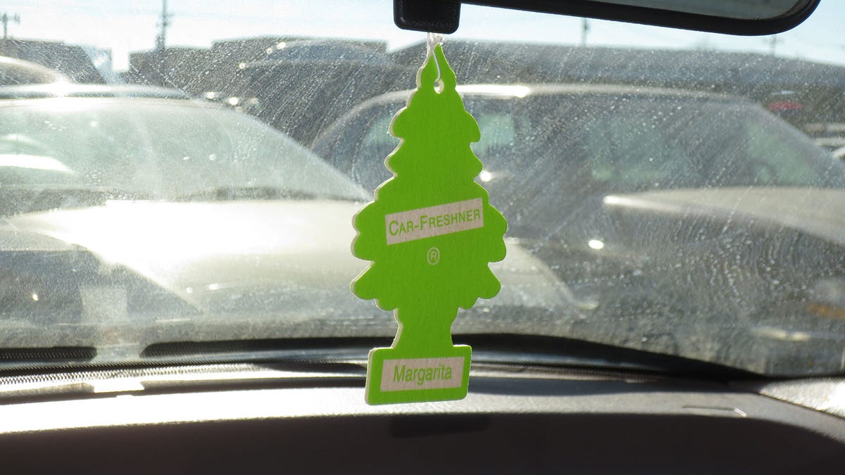 These rarely seen Little Trees failed to save these cars from the crusher